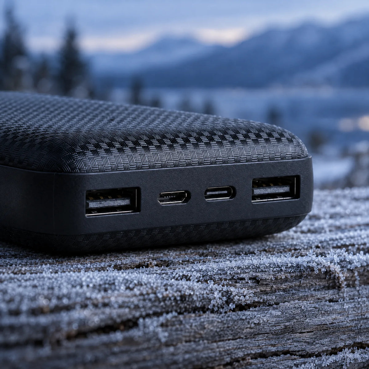 Anschlüsse der Powerbank 20.000 mAh: zwei USB-A, USB-C und Micro-USB, auf bereiftem Lärchenholz